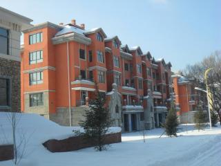 Yabuli Homestay Apartment Qingyun Village - 6