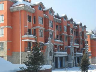 Yabuli Homestay Apartment Qingyun Village - 5