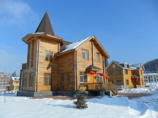 Yabuli Qingyun Town Deluxe (log cabin) Villa - 1