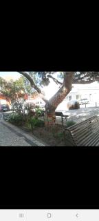 Studio Pacifica - Quarteira - 6