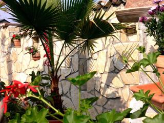 Apartmenthaus Casa Palma - Bühl - 4