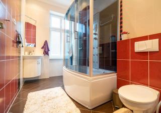 Apartment Comfort - Karlovy Vary - 6