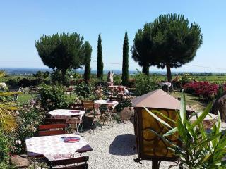 Weinhaus Paradies - 4