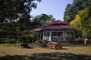 Puroni Bheti Tea and Farm Retreat - Jorha - 0
