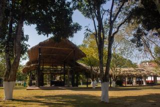 Puroni Bheti Tea and Farm Retreat - Jorhat - 1