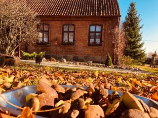 Dworek Mazurski Ruś Gospodarstwo Agroturystyczne - Ruś - 3