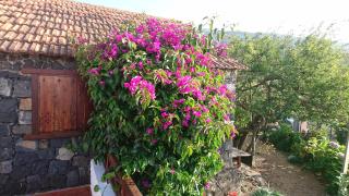 El pajar de Inés - 5