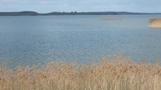 Maximilian - Plau am See - 1