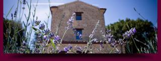 L'Alboreto Salvatico Homestay - Serra San Quirico - 0