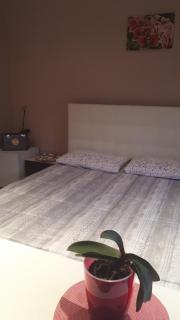 Casa delle orchidee - 5