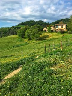 Ca' Lo Spicchio - 4