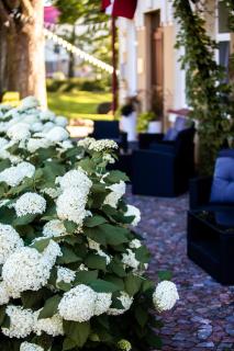 Hotel Benevilla - Alūksne - 3