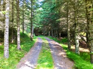 Eagle Bay Lofoten - 9