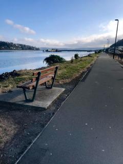 Harbour Side Views - Dunedin - 1
