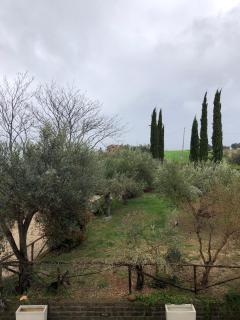 Locanda del Sole - Ponzano di Fermo - 7