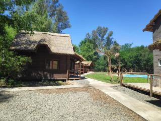 el bosque la foret - 9