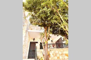 Beach Stone Mezonete 5min from the Golden Xenia beach - 1