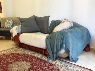 Octavius Holiday Home, Large 2 Bedroom Apartment near Global Village & Outlet Mall - 4