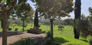 Casale di Befania - Vetralla - 6