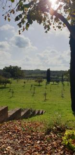 Casale di Befania - Vetralla - 8