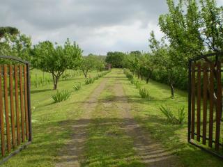 Casale di Befania - Vetralla - 9