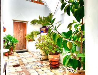 CASA LA FUENTE C Casas Vejer Debra - Vejer de la Frontera - 7