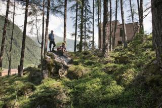 Gradonna Mountain Resort Chalets & Hotel - Kals am Großglockner - 2