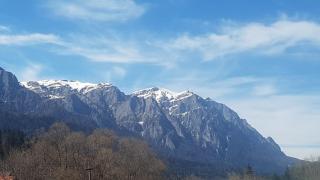 Apartament GreenStar - Sinaia - 8