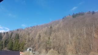 Apartament GreenStar - Sinaia - 4