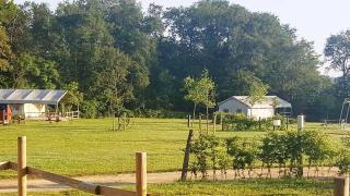 Camping Parc de la Brenne - Lignac - 2