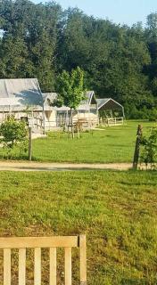 Camping Parc de la Brenne - Lignac - 1