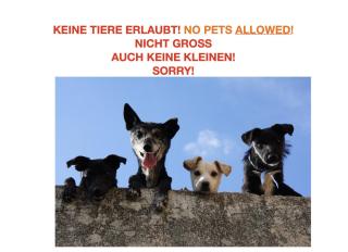 Homestay Brienz - Brienz - 3