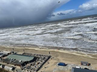 De Steltloper - Zandvoort - 0