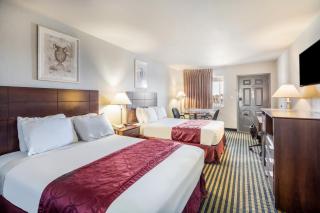 Americas Best Value Inn New Braunfels - New Braunfels - 3