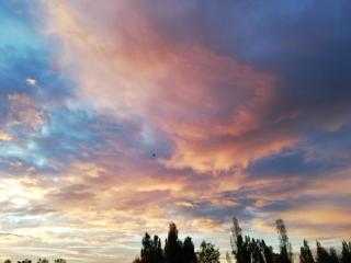 Au cœur du jardin - 1