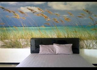 D'SAWAH GUESTHOUSE - Klaten - 4