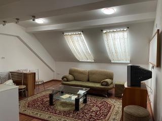 Olanesti Apartament - Băile Olăneşti - 8