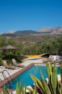 Finca Gordo - 6