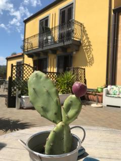 Agriturismo Serra San Biagio - Calatabiano - 4