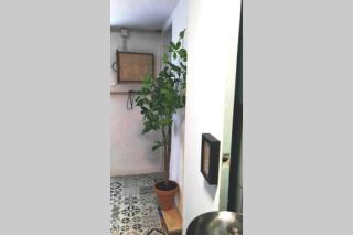 La musa del Poeta - 2