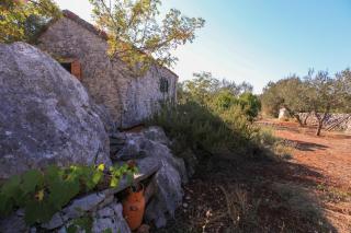 Robinson Olea 1 - Trpanj (Trappano) - 3