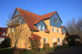 Haus Sonne Whg_3 - Zingst - 4
