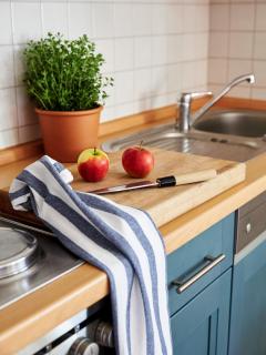 Friedenstr.43  Whg.6 Wellenläufer - Zingst - 8