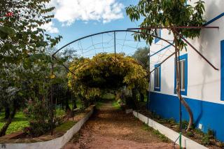 Quinta da Fortaleza - Elvas - 7