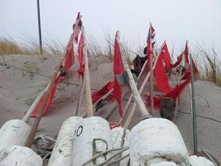 Birkenstrasse_6 i Wohnung 12 - Zingst - 3