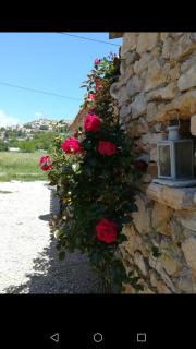 GITE DES CAMPAGNES - Fayence - 4