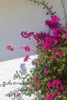 Luxury B&B Villa Tauro - Málaga - 3