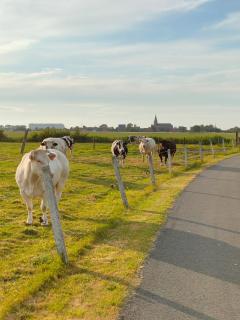 Gastenverblijf Hof Moye Tyt - Middelkerke - 9