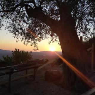 Il colle degli ulivi - 4