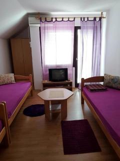 Apartments and rooms Villa Mačva - Banja Koviljača - Banja Koviljača - 4